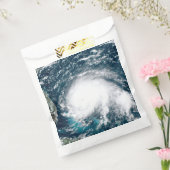 Sachets En Papier Ouragan au large des côtes de Floride (Scellé)