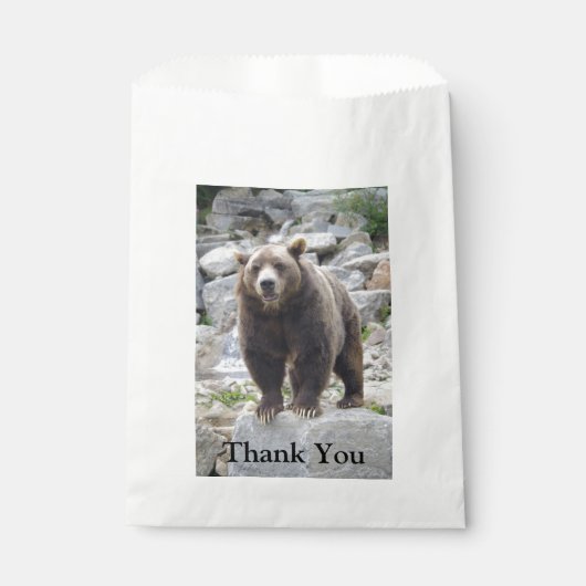 Sachets En Papier Ours Kodiak (Devant)