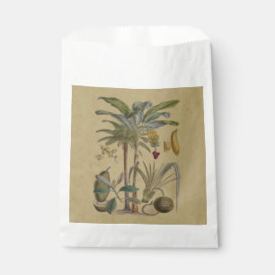 Sachets En Papier Palm Antique Fruit Tropical Art Botanique