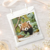 Sachets En Papier Panda rouge (Coupé)
