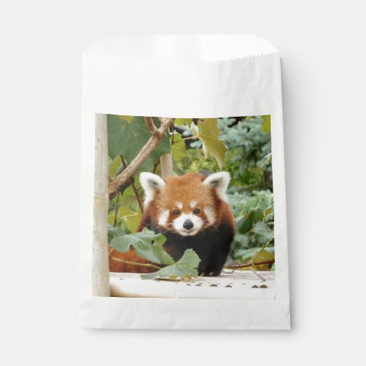 Sachets En Papier Panda rouge (Devant)