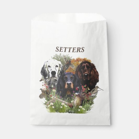 SACHETS EN PAPIER PARAMÈTRES (Devant)