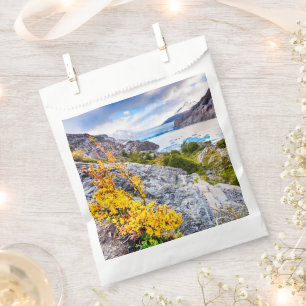 Sachets En Papier Patagonie