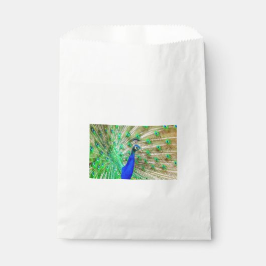 Sachets En Papier Peacock Plumage (Devant)