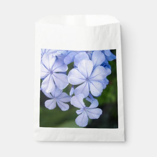 Sachets En Papier Plumbago (Devant)