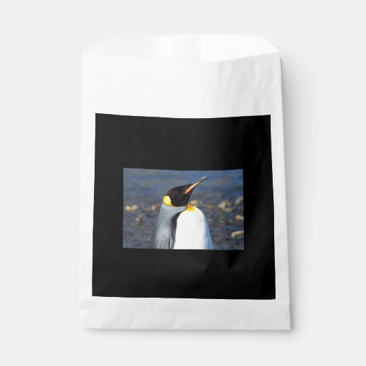 Sachets En Papier Portrait de Penguin (Devant)