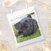 Sachets En Papier pug noir allongé (Coupé)
