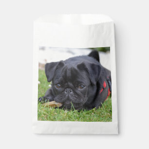 Sachets En Papier pug noir allongé