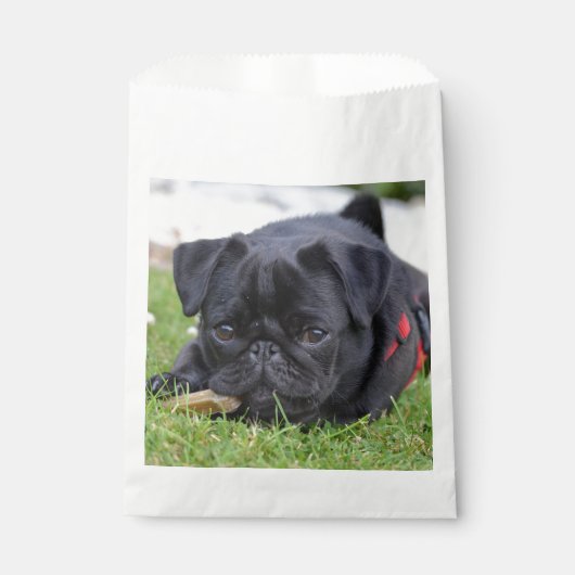 Sachets En Papier pug noir allongé (Devant)