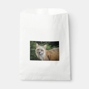 Sachets En Papier Renard sauvage