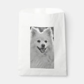 Sachets En Papier Spitz japonais (Devant)