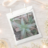 Sachets En Papier Succulentes du Nevada       (Coupé)