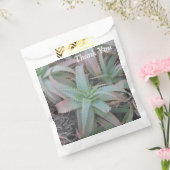 Sachets En Papier Succulentes du Nevada       (Scellé)