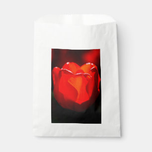 Sachets En Papier Tulipe rouge - Feu