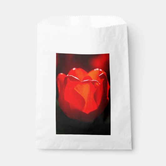 Sachets En Papier Tulipe rouge - Feu (Devant)