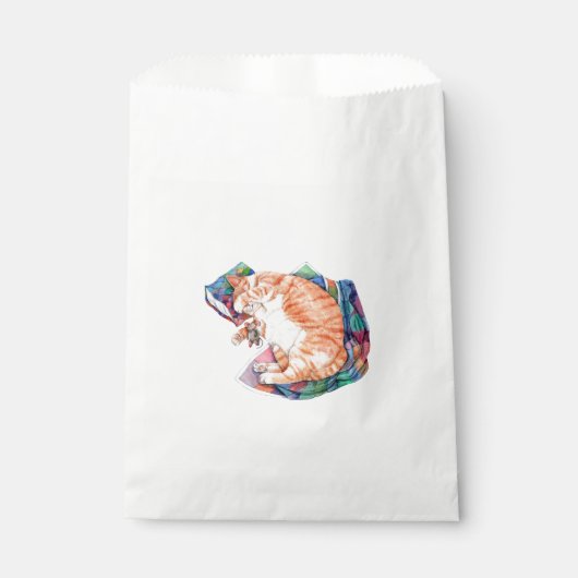 Sachets En Papier Zoe's Winter Nap (Devant)