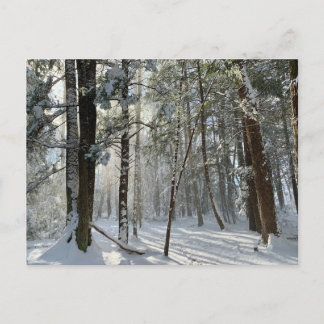 Saco Health Preserve Sneeuw Briefkaart