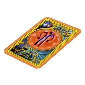 Sacral Chakra - Verborgen waarheid Magneet (Linkerzijde)