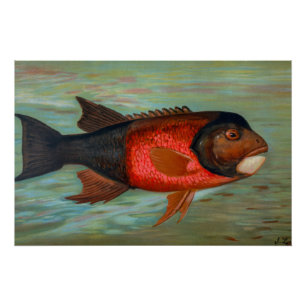 Sacramento Pike beroemd gemaakt door John L. Petri Perfect Poster