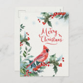 Sacré de Noël, Cardinal rouge, Carte postale de No (Devant / Derrière)