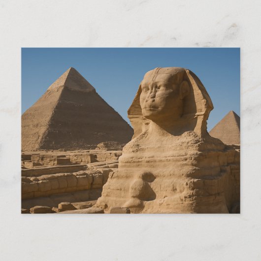 Sacré Sphinx Divine Carte Postale Giza Pyramides (Devant)