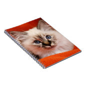 Sacred Birman Kitten Notitieboek (Rechterzijde)