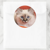 Sacred Birman Kitten Ronde Sticker (Tas)
