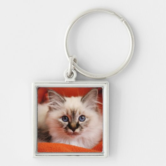 Sacred Birman Kitten Sleutelhanger (Voorkant)