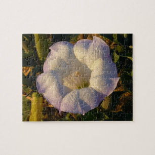 Sacred Datura Flower Wildflower Legpuzzel