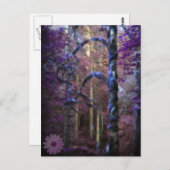 Sacred Forest Briefkaart (Voorkant / Achterkant)