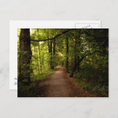 Sacred Grove, Palmyra, New York Briefkaart (Voorkant / Achterkant)