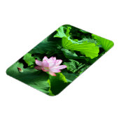 Sacred Lotus: Japan Magneet (Linkerzijde)