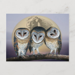 Sacred Owl Noord-Amerikaans Indiaan Briefkaart