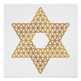Sacred Star - Star of Life, 04/3D-Br. Perfect Poster