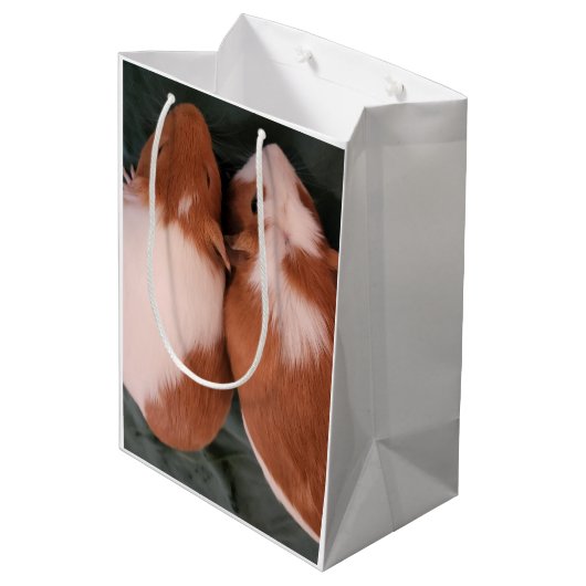 Sacs cadeau aux cochons de Guinée (Dos Angle)