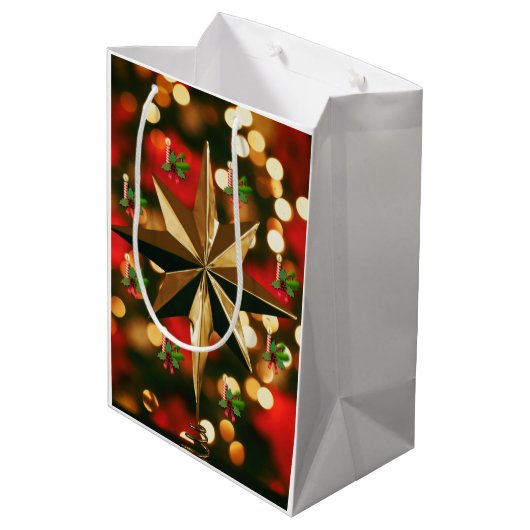 Sacs Cadeaux de Noël (Dos Angle)