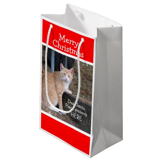 Sacs cadeaux de Noël à la tablette orange (Devant Angle)