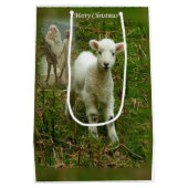 Sacs cadeaux de Noël Jésus Christ (Dos)