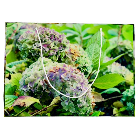Sacs cadeaux Hydrangeas (Dos)