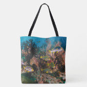 Sacs Coral Reef Beach (Dos)
