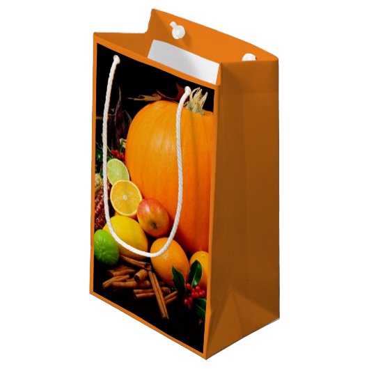 Sacs de cadeau de papier d'automne de thanksgiving (Devant Angle)