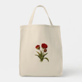 Sacs de transport (Dos)