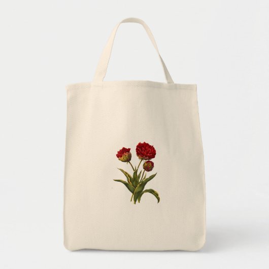 Sacs de transport (Devant)