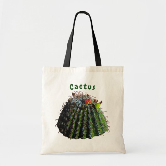 Sacs fourre-tout Cactus (Devant)