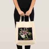 Sacs Orchid Beallara (Devant (produit))