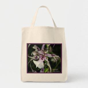 Sacs Orchid Beallara