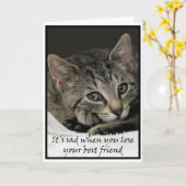 Sad cat betuigt zijn medeleven met het verlies van kaart (Gele Bloem)