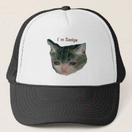 Sad Cat Trucker Pet