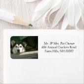 Sad Chien Retourner Adresse Mail Stickers Étiquett (En situation)