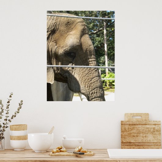 Sad Elephant Poster (Keuken)